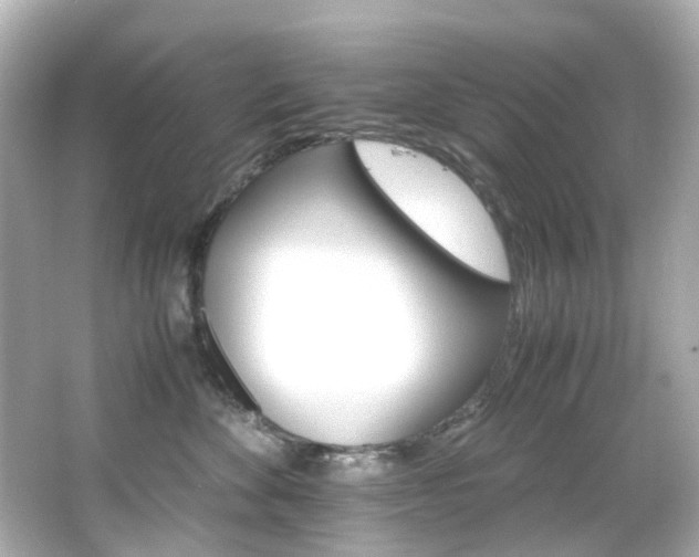 X0000066540524200603201429