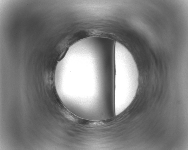 X0000066540525200603201429