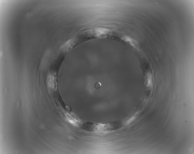 X0000066540527200603201429