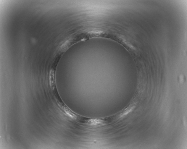 X0000066540528200603201429