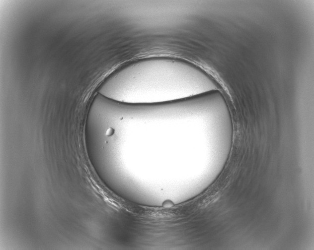 X0000066540529200603201428