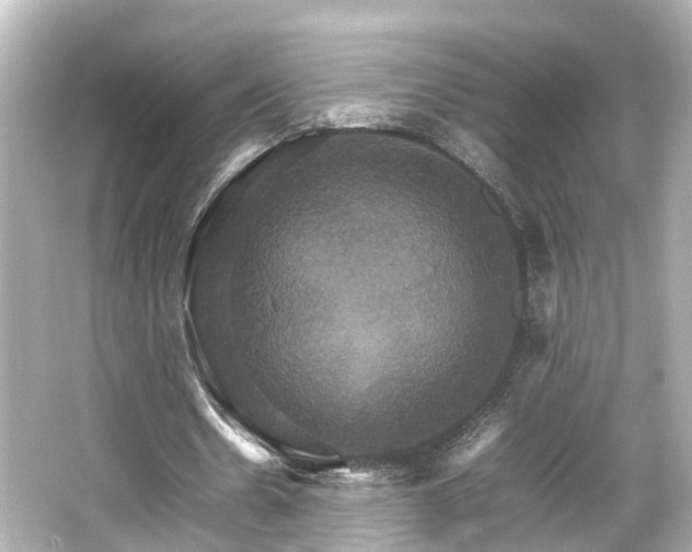 X0000066540530200603201428