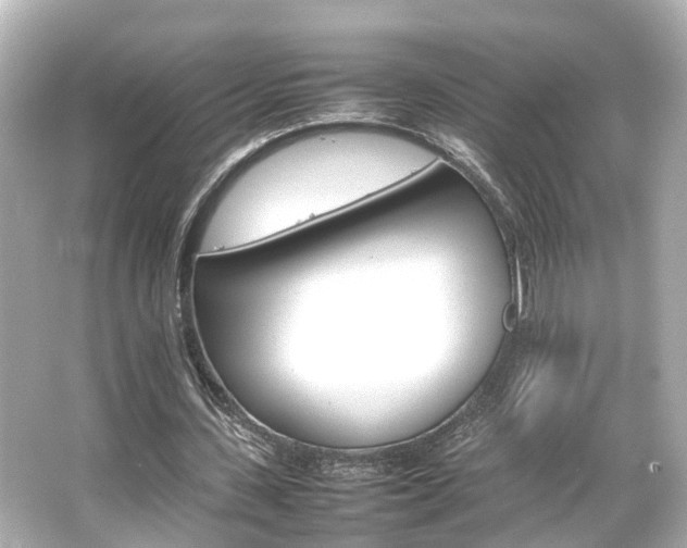 X0000066540531200603201428