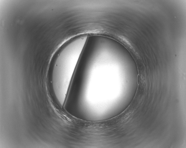 X0000066540532200603201428