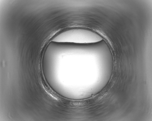 X0000066540533200603201428