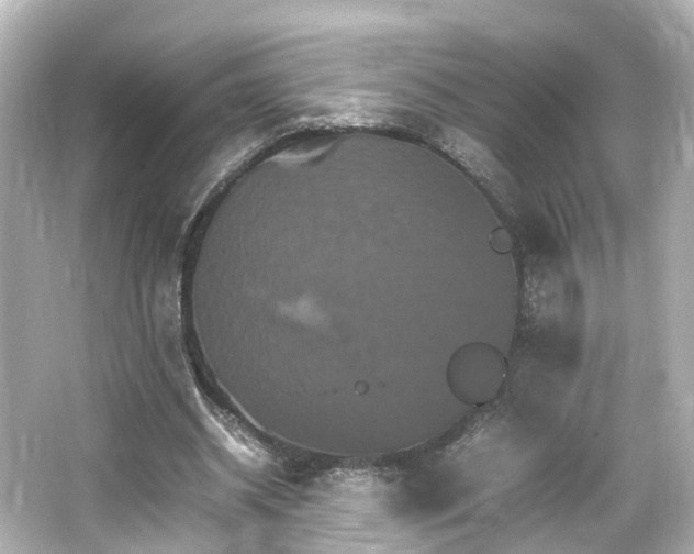 X0000066540534200603201428