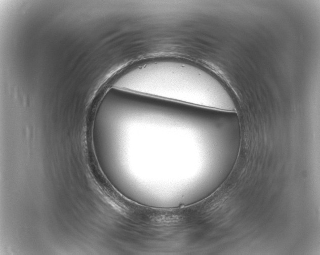 X0000066540535200603201428