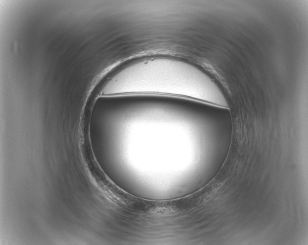 X0000066540536200603201428