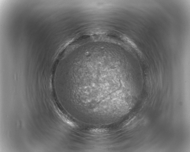 X0000066540537200603201428