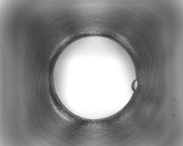 X0000066540538200603201428