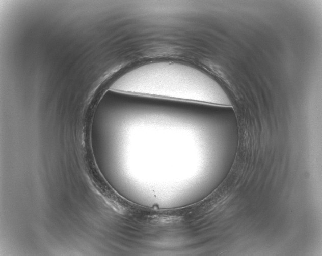 X0000066540539200603201428