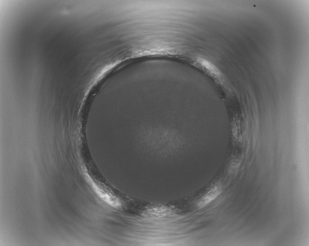 X0000066540540200603201428