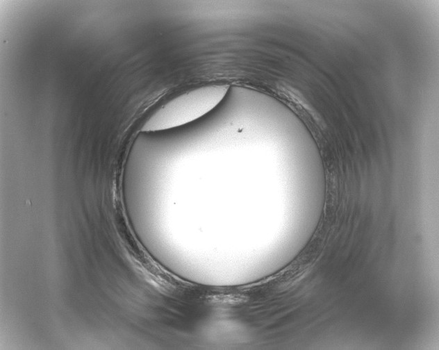 X0000066540541200603201428