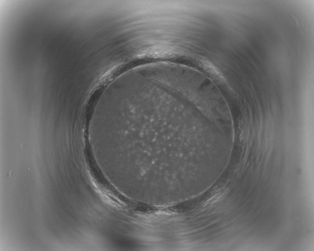 X0000066540542200603201428