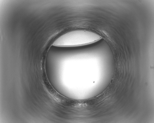 X0000066540543200603201428