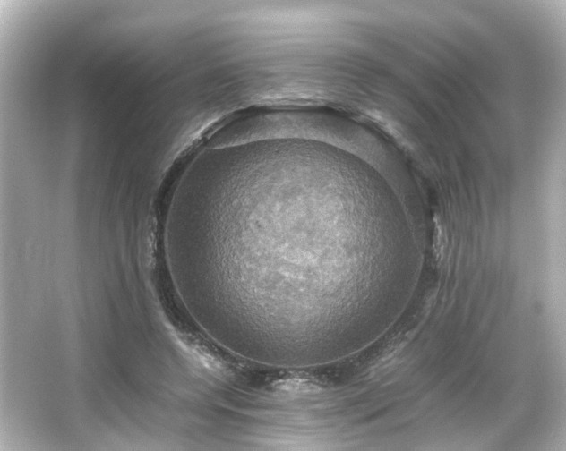 X0000066540544200603201428