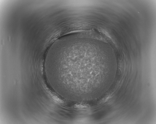 X0000066540545200603201428