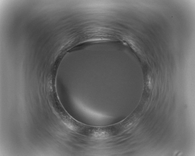 X0000066540547200603201428