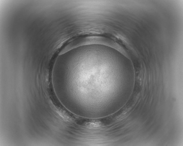 X0000066540548200603201428