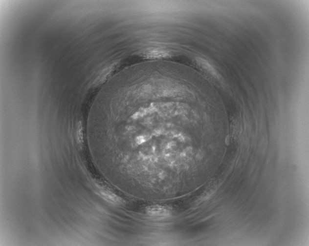 X0000066540549200603201428