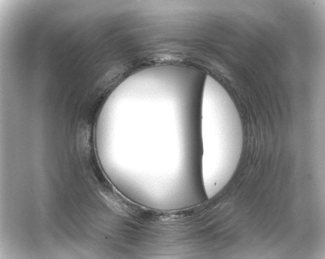 X0000066540550200603201428