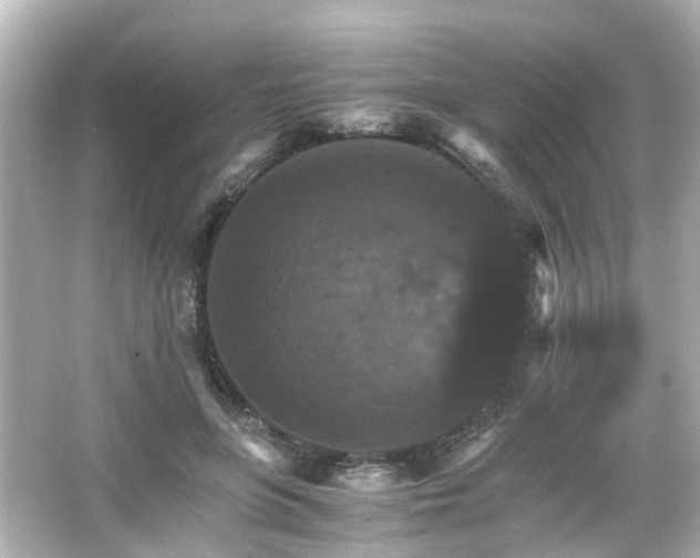 X0000066540551200603201428