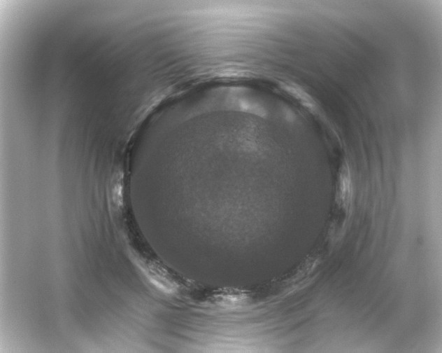 X0000066540552200603201428