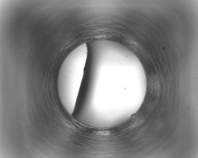 X0000066540554200603201428