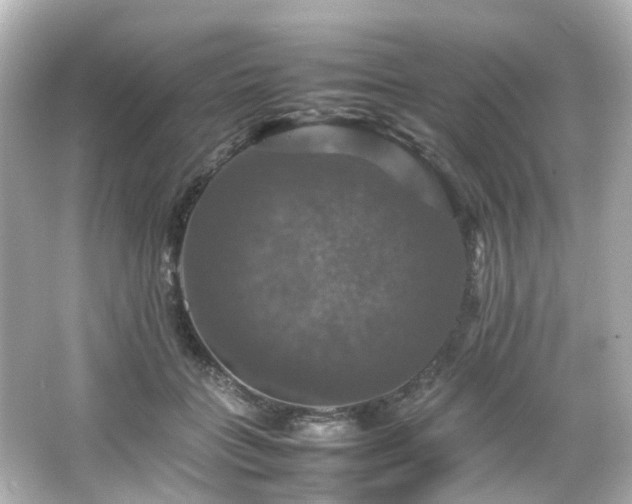 X0000066540555200603201428