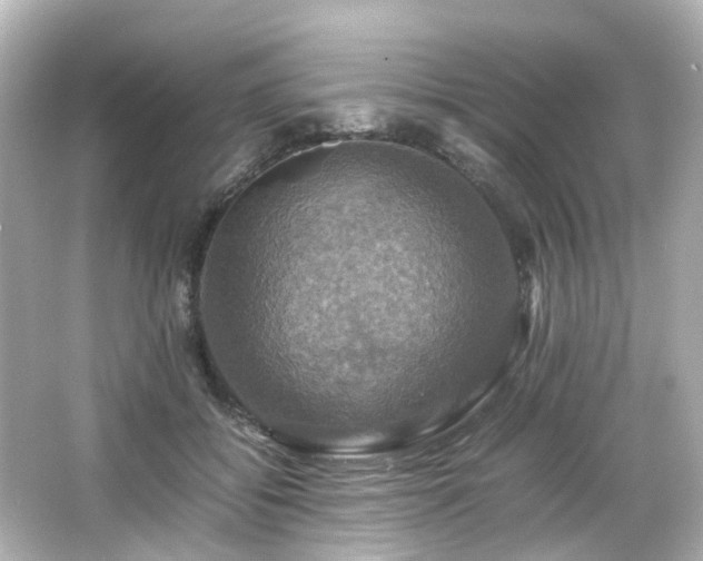 X0000066540556200603201428