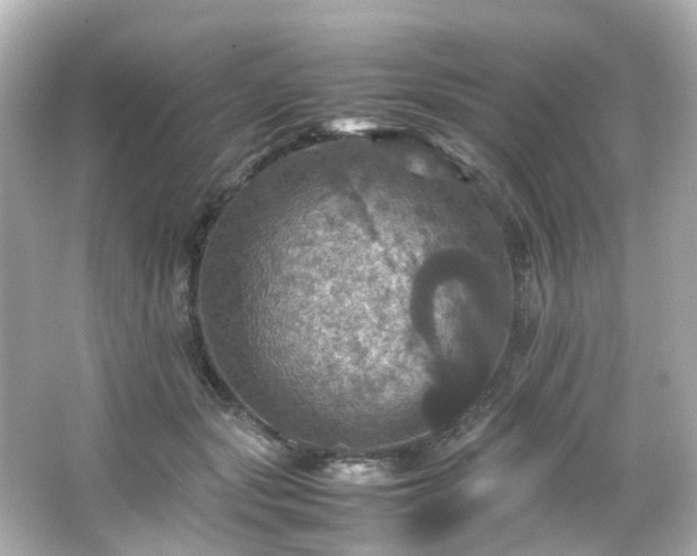 X0000066540557200603201428