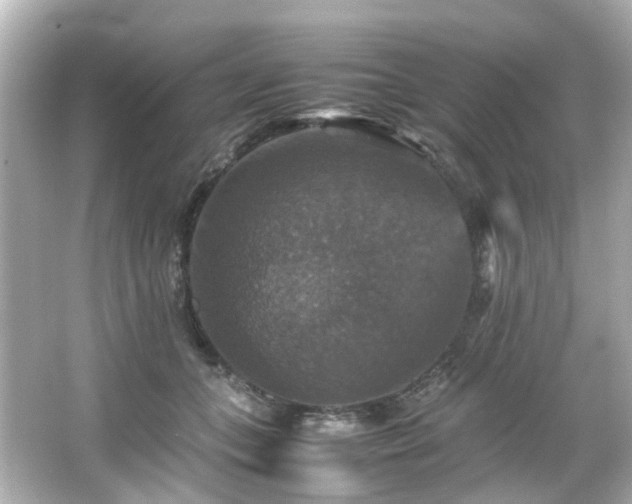 X0000066540559200603201428