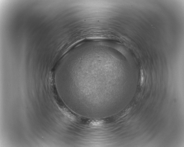 X0000066540560200603201428