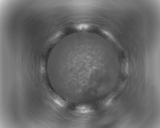 X0000066540561200603201429