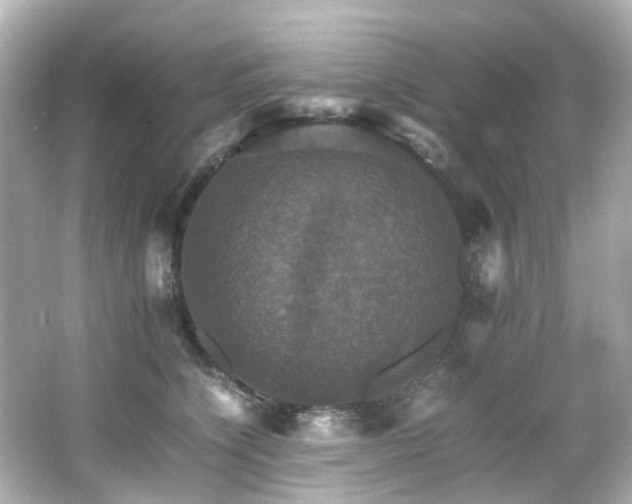 X0000066540564200603201429