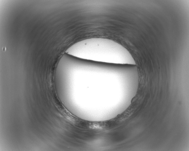 X0000066540565200603201429