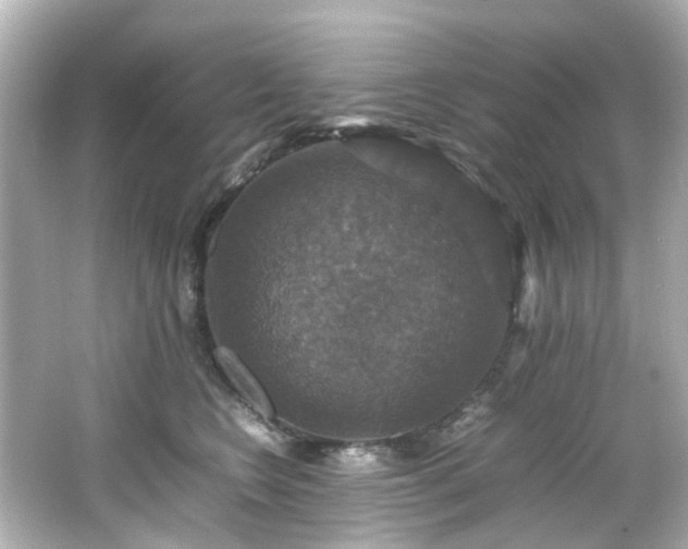 X0000066540566200603201429