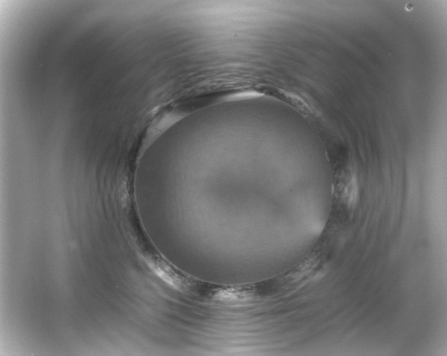 X0000066540568200603201429