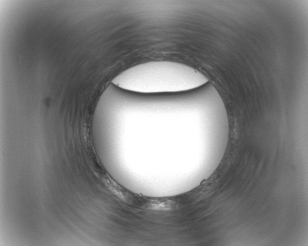 X0000066540569200603201429