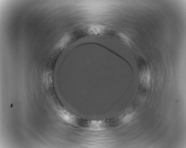 X0000066540570200603201429