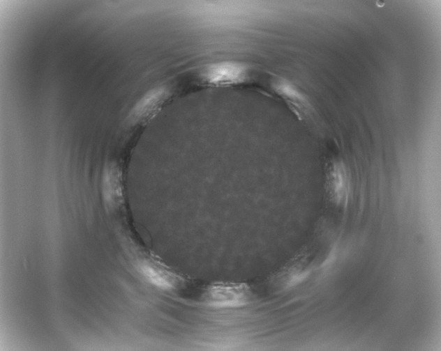 X0000066540571200603201429