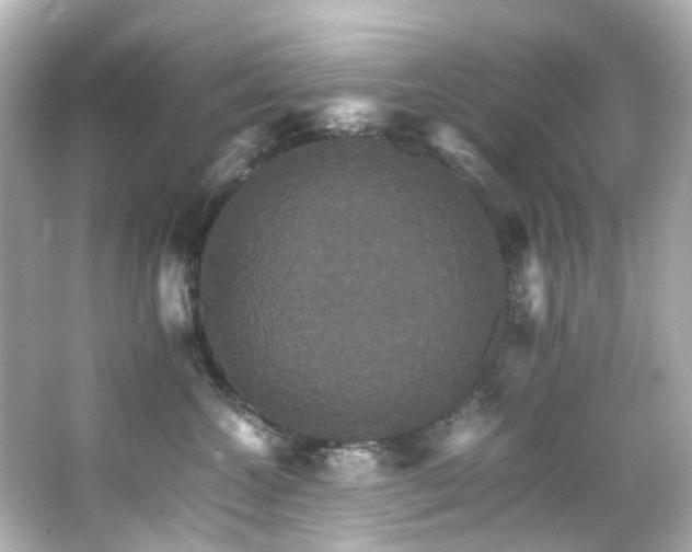 X0000066540572200603201429