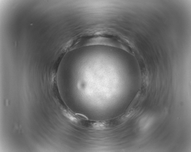 X0000066540574200603201429