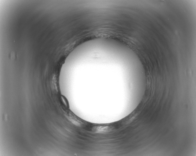 X0000066540575200603201429