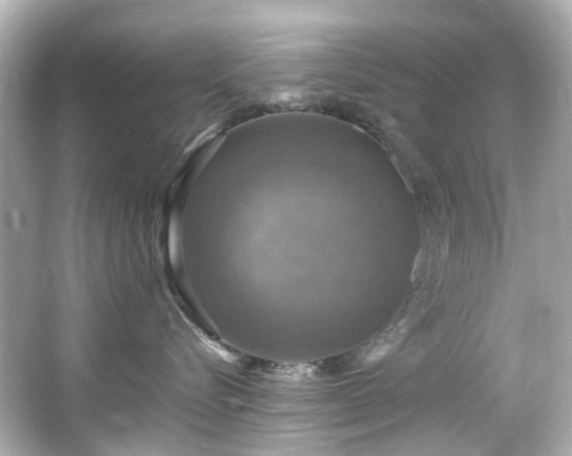 X0000066540576200603201429