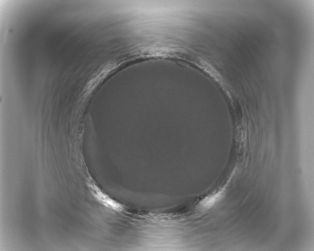 X0000066540577200603201428