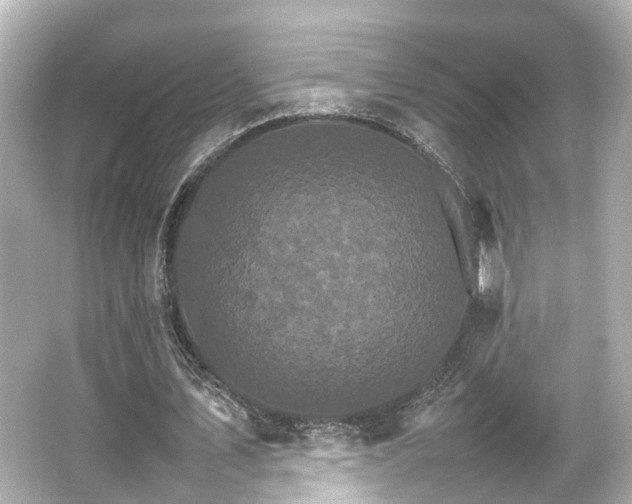 X0000066540579200603201428