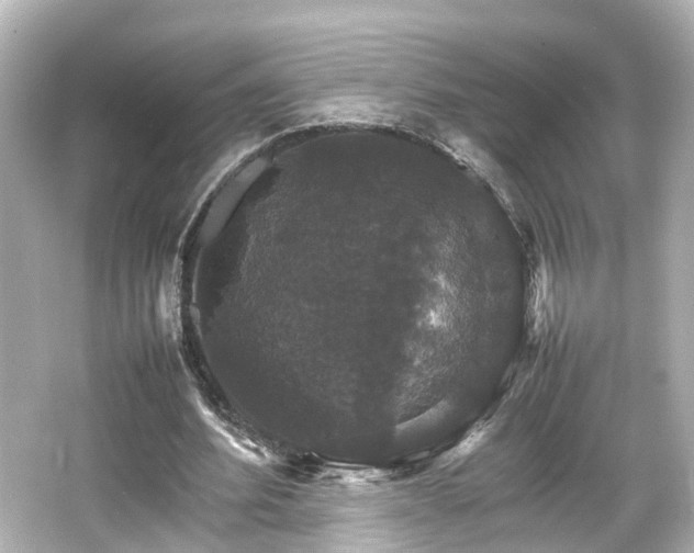 X0000066540580200603201428