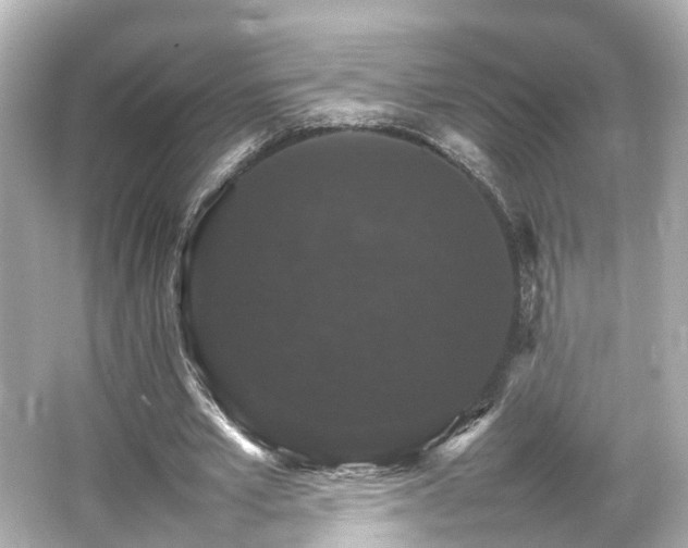 X0000066540581200603201428