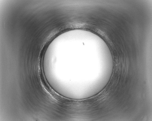 X0000066540582200603201428